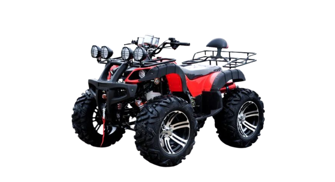 welcome little one! (4)